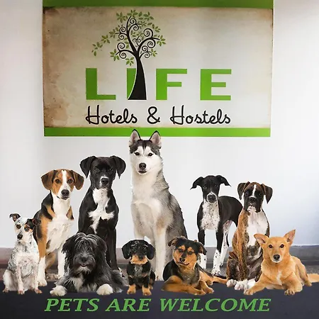 Life Slovenia Vandrerhjem Radovljica