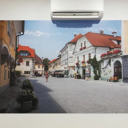 Life Slovenia 旅馆 拉多夫吉卡