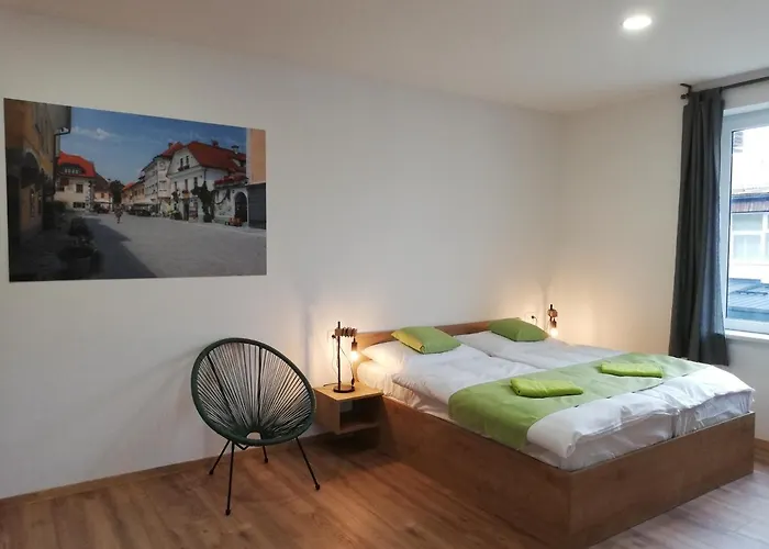 Life Slovenia Radovljica