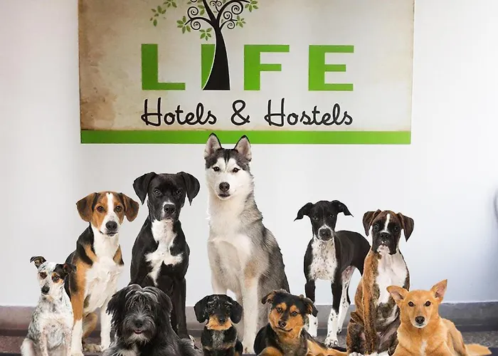 Life Slovenia Хостел Радовлица