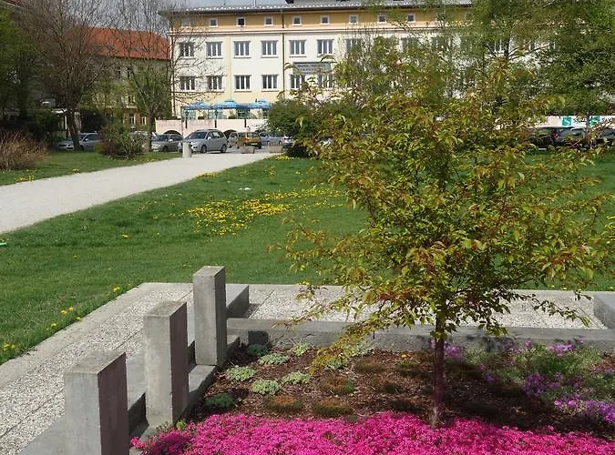 Life Slovenia * Радовлица