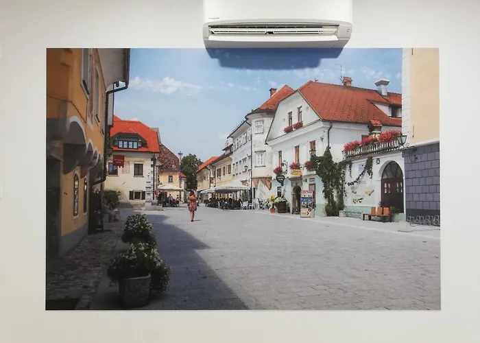 Life Slovenia Хостел Радовлица